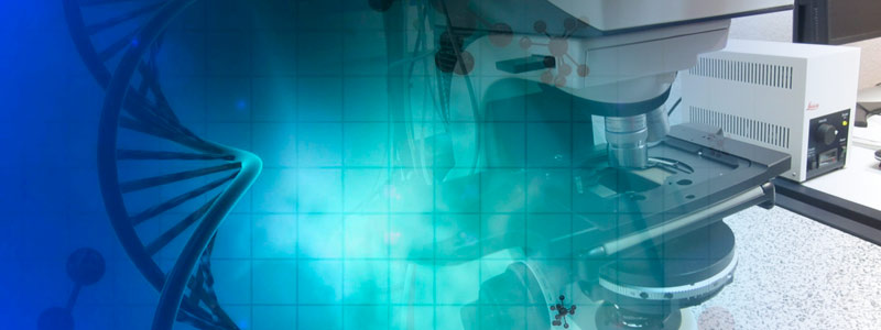 BANNER medicas