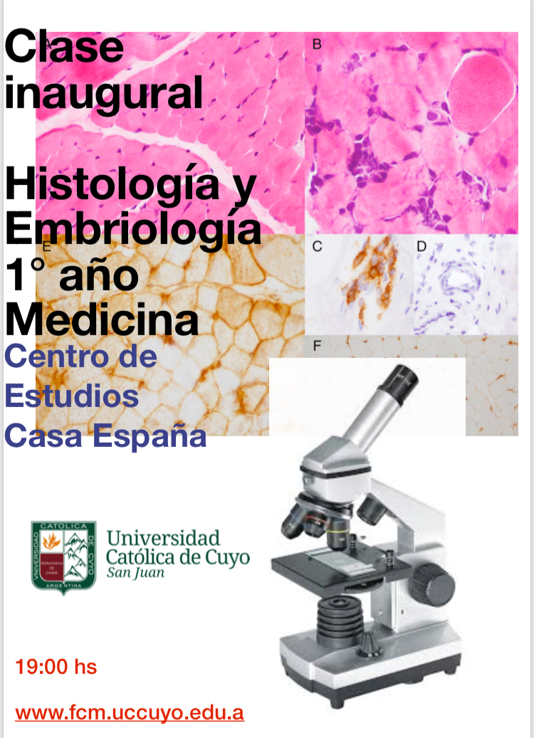 HISTOLOGIA